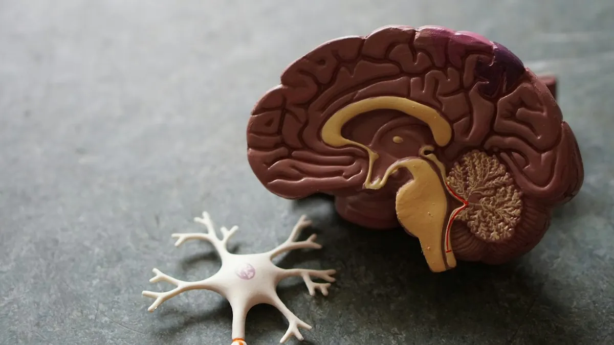 Mind and Gut Connection